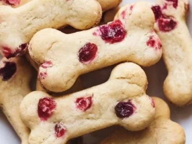 No-bake apple cranberry treats served on a plate