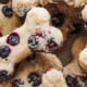 No-Bake Coconut Blueberry Dog Treats for healthy snacking