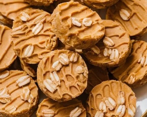 Homemade no-bake dog treats recipe for healthy canine snacks