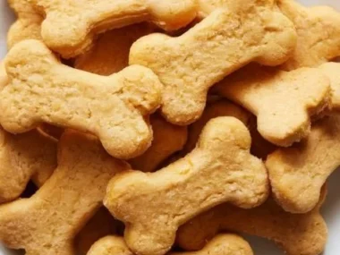Homemade no-bake pumpkin dog treats on a wooden table