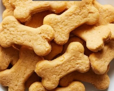 Homemade no-bake pumpkin dog treats on a wooden table