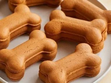 Delicious Peanut Butter and Pumpkin Soft Treats for dogs