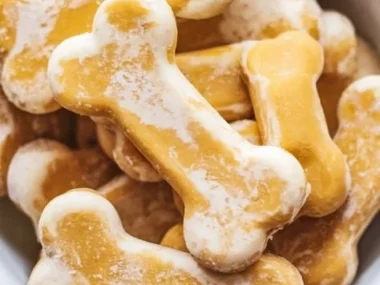 Frozen pumpkin banana dog pops for pets