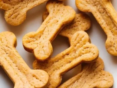 Homemade pumpkin dog treats on a wooden surface