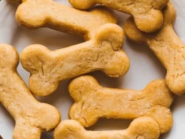 Homemade pumpkin no-bake dog treats for dogs