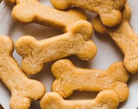 Homemade pumpkin no-bake dog treats for dogs