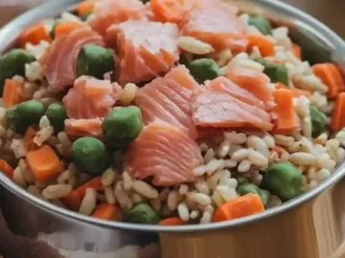 Bowl of salmon and brown rice dog food for dogs