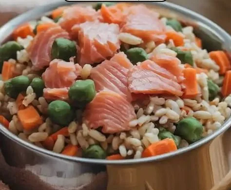 Bowl of salmon and brown rice dog food for dogs