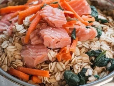 Salmon and oatmeal dog food for a healthy pet diet
