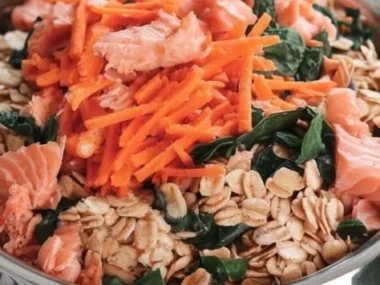 Salmon and oatmeal dog food for healthy and happy pets