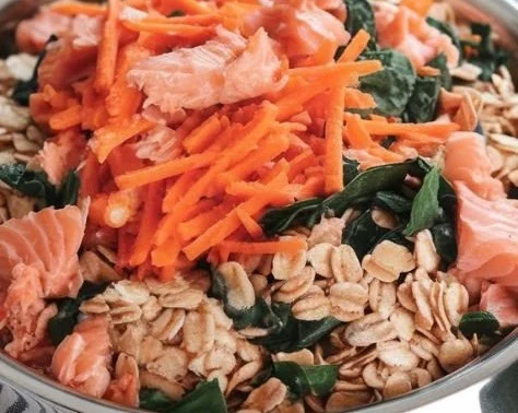 Salmon and oatmeal dog food for healthy and happy pets