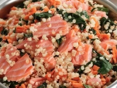 Healthy homemade salmon and quinoa meal for dogs nutrition