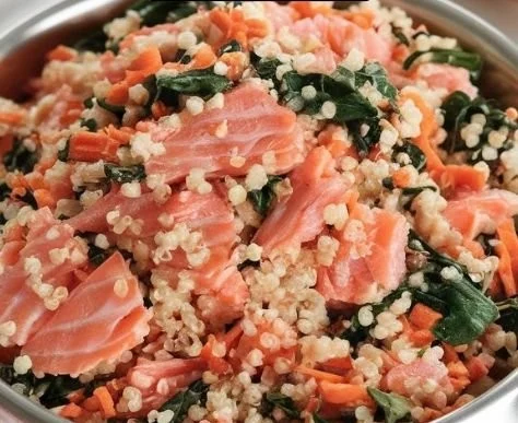 Healthy homemade salmon and quinoa meal for dogs nutrition