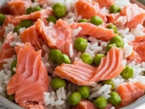 Healthy salmon and rice meal prepared for dogs, promoting nutrition and wellness.