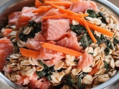 Bowl of premium salmon dog food with fresh ingredients