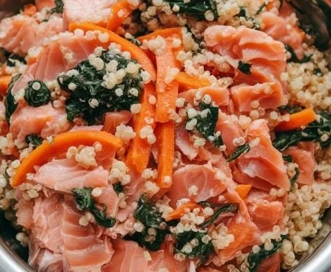 A nutritious Salmon Quinoa dog bowl for your pet's healthy diet