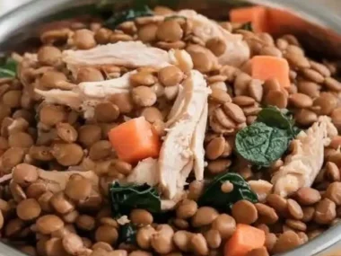 Bowl of slow-cooked chicken and lentil dog food for pets