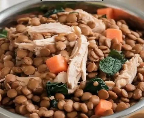Bowl of slow-cooked chicken and lentil dog food for pets