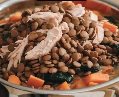 Homemade slow cooker dog food in a bowl with fresh ingredients