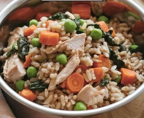 Homemade slow cooker dog food ingredients ready for preparation