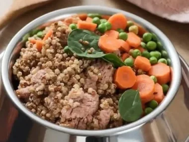 Bowl of Turkey and Quinoa Dog Food for healthy pets
