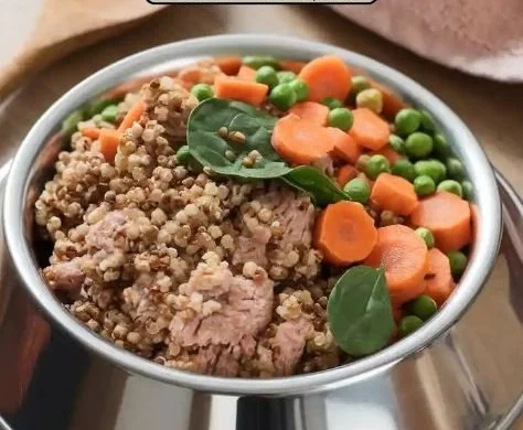 Bowl of Turkey and Quinoa Dog Food for healthy pets