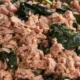 Turkey and Spinach Dog Food for healthy canine nutrition