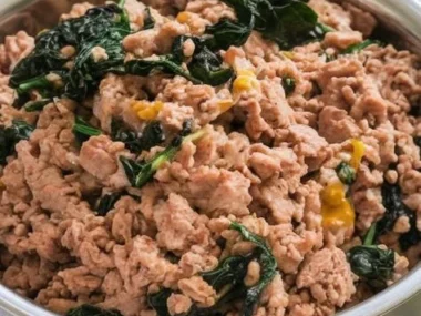 Bowl of Turkey and Spinach dog food for healthy canine nutrition
