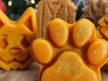 Wholesome pumpkin and turmeric dog treats for healthy, happy dogs