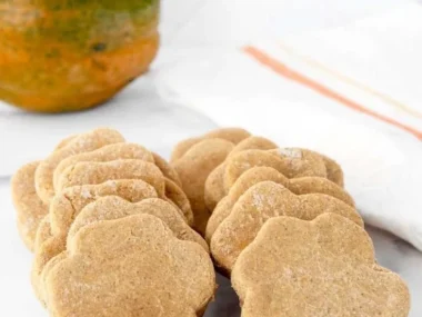 Delicious homemade acorn squash dog treats for healthy canine snacks