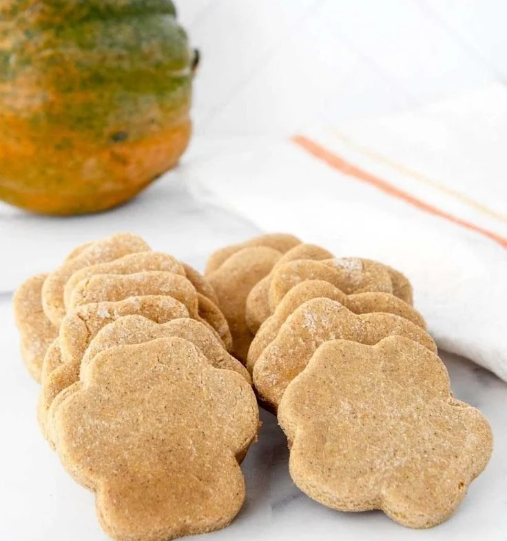 Delicious homemade acorn squash dog treats for healthy canine snacks