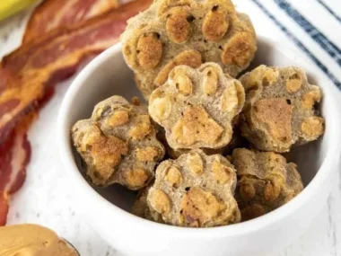 Delicious bacon dog treats for healthier and happier pets