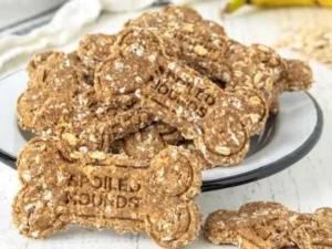 Homemade banana oatmeal dog treats for healthy dog snacks