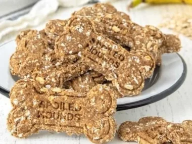 Homemade banana oatmeal dog treats for healthy dog snacks