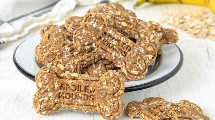 Homemade banana oatmeal dog treats for healthy dog snacks