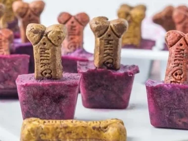 Homemade blueberry popsicles for dogs, healthy frozen treat for pets