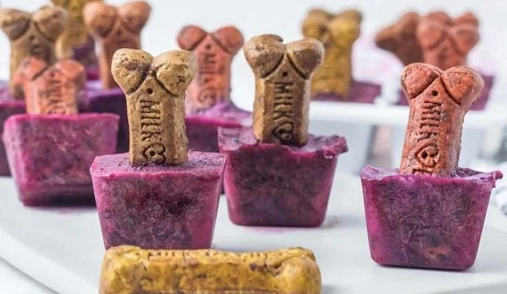 Homemade blueberry popsicles for dogs, healthy frozen treat for pets
