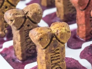 Delicious homemade blueberry popsicles for dogs on a sunny day