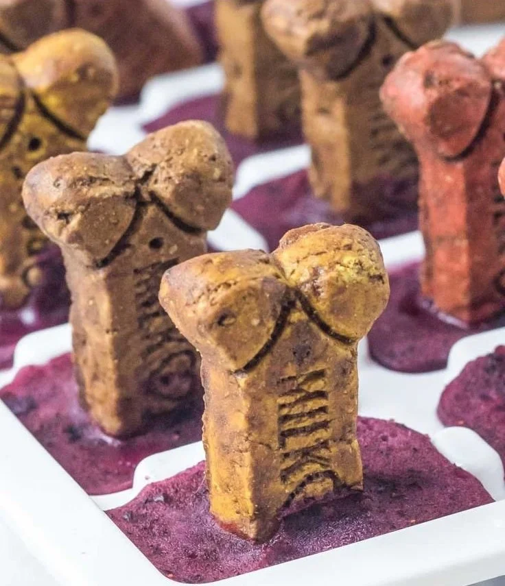 Delicious homemade blueberry popsicles for dogs on a sunny day