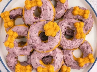 Homemade blueberry pumpkin dog donuts for a tasty treat