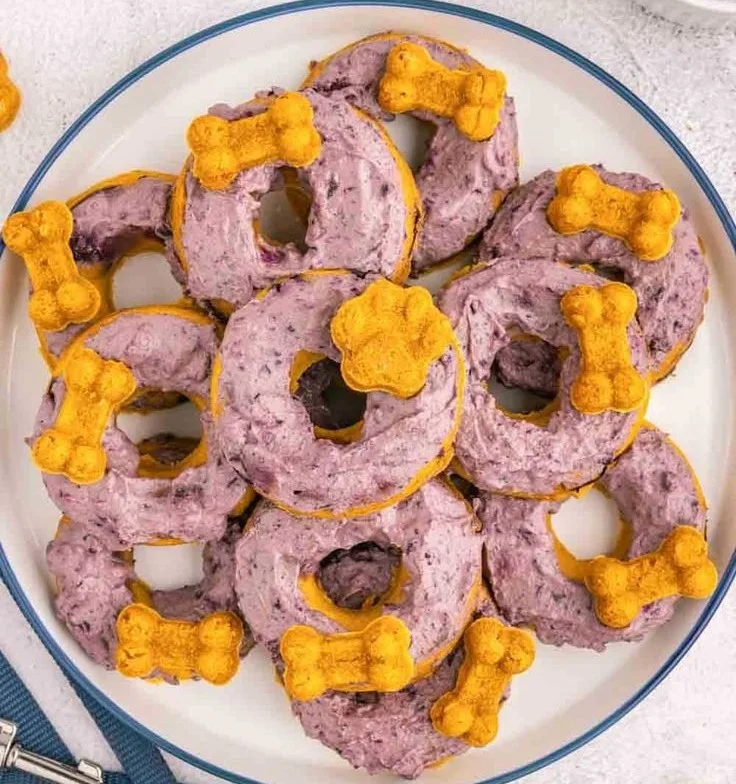 Homemade blueberry pumpkin dog donuts for a tasty treat