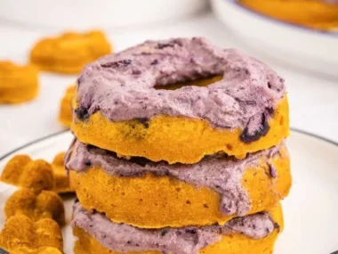 Blueberry pumpkin dog donuts made for furry friends