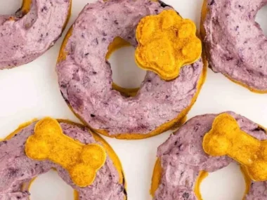 Homemade blueberry pumpkin dog donuts for healthy canine treats