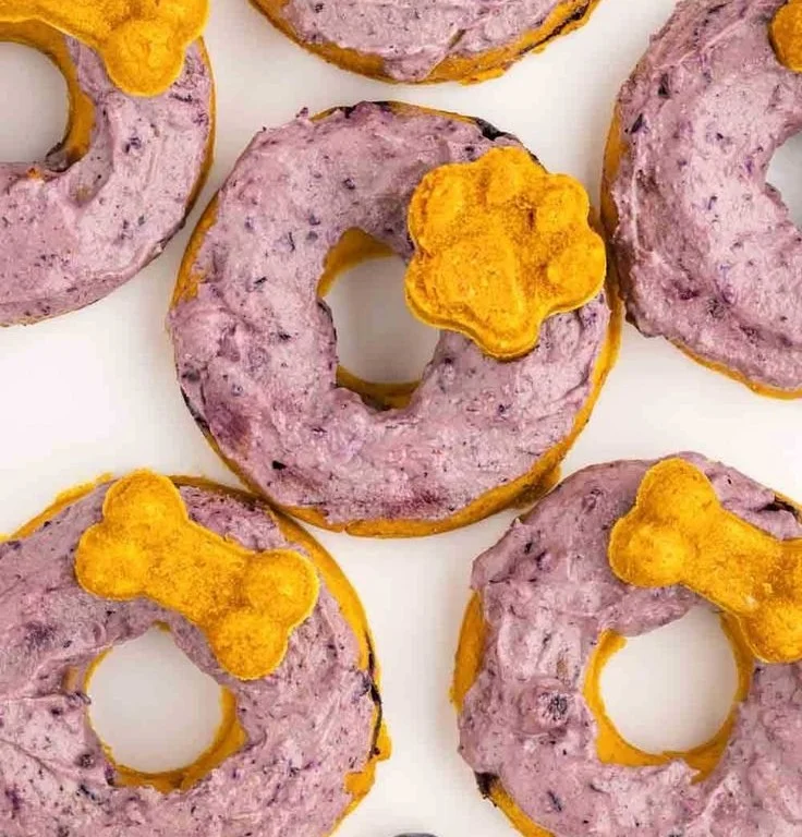 Homemade blueberry pumpkin dog donuts for healthy canine treats