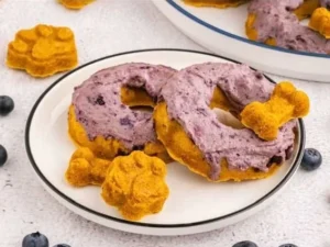 Blueberry pumpkin dog donuts for your furry friend