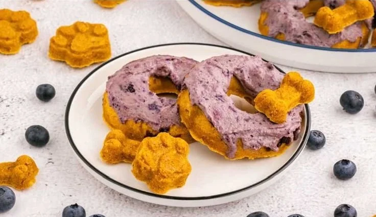 Blueberry pumpkin dog donuts for your furry friend