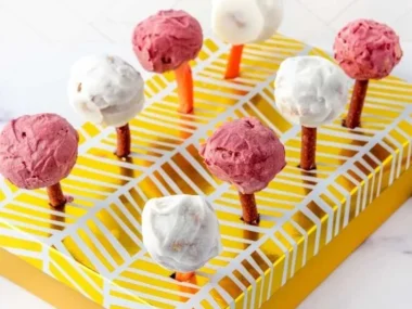 Homemade dog cake pops for tasty pet treats