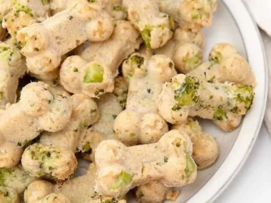Homemade Chicken and Broccoli Dog Treats for healthy dog snacks