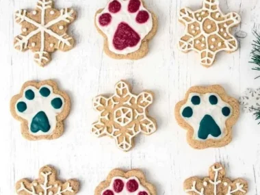 Homemade Christmas dog treats for festive holiday fun