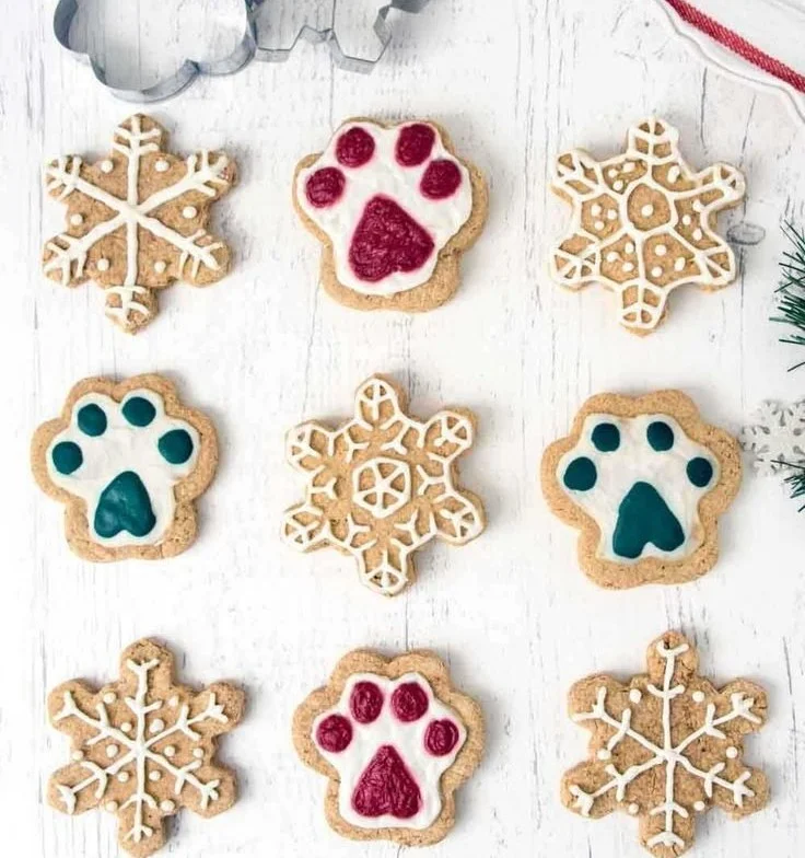 Homemade Christmas dog treats for festive holiday fun